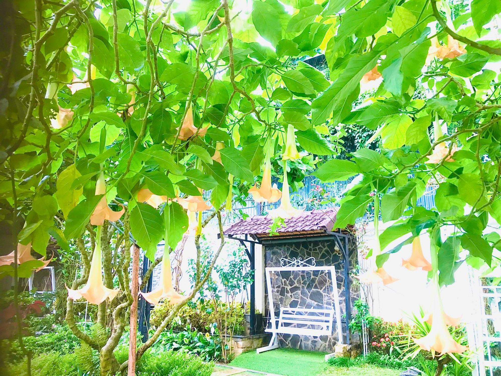 Hotel Hoa NáNg Bảo Lộc Exterior foto