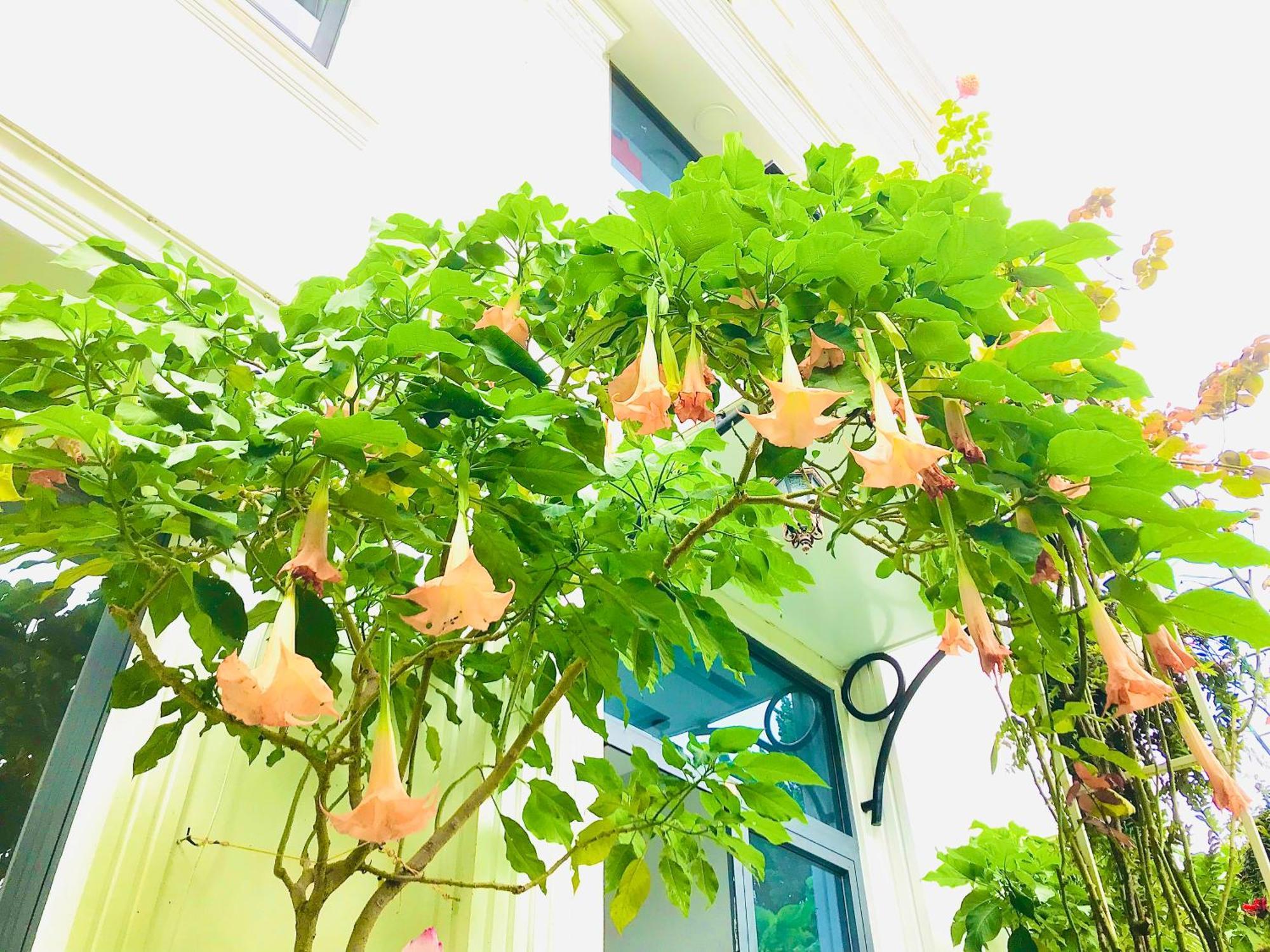Hotel Hoa NáNg Bảo Lộc Exterior foto
