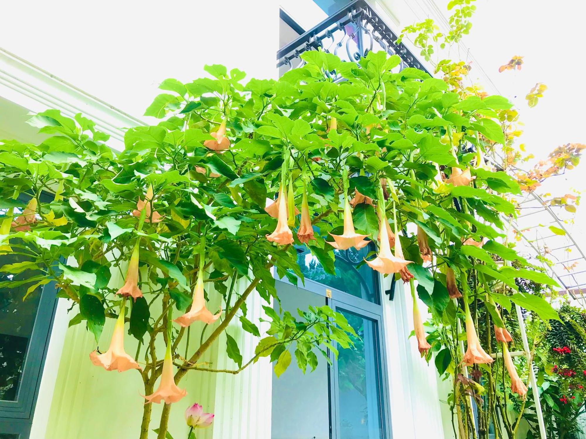 Hotel Hoa NáNg Bảo Lộc Exterior foto