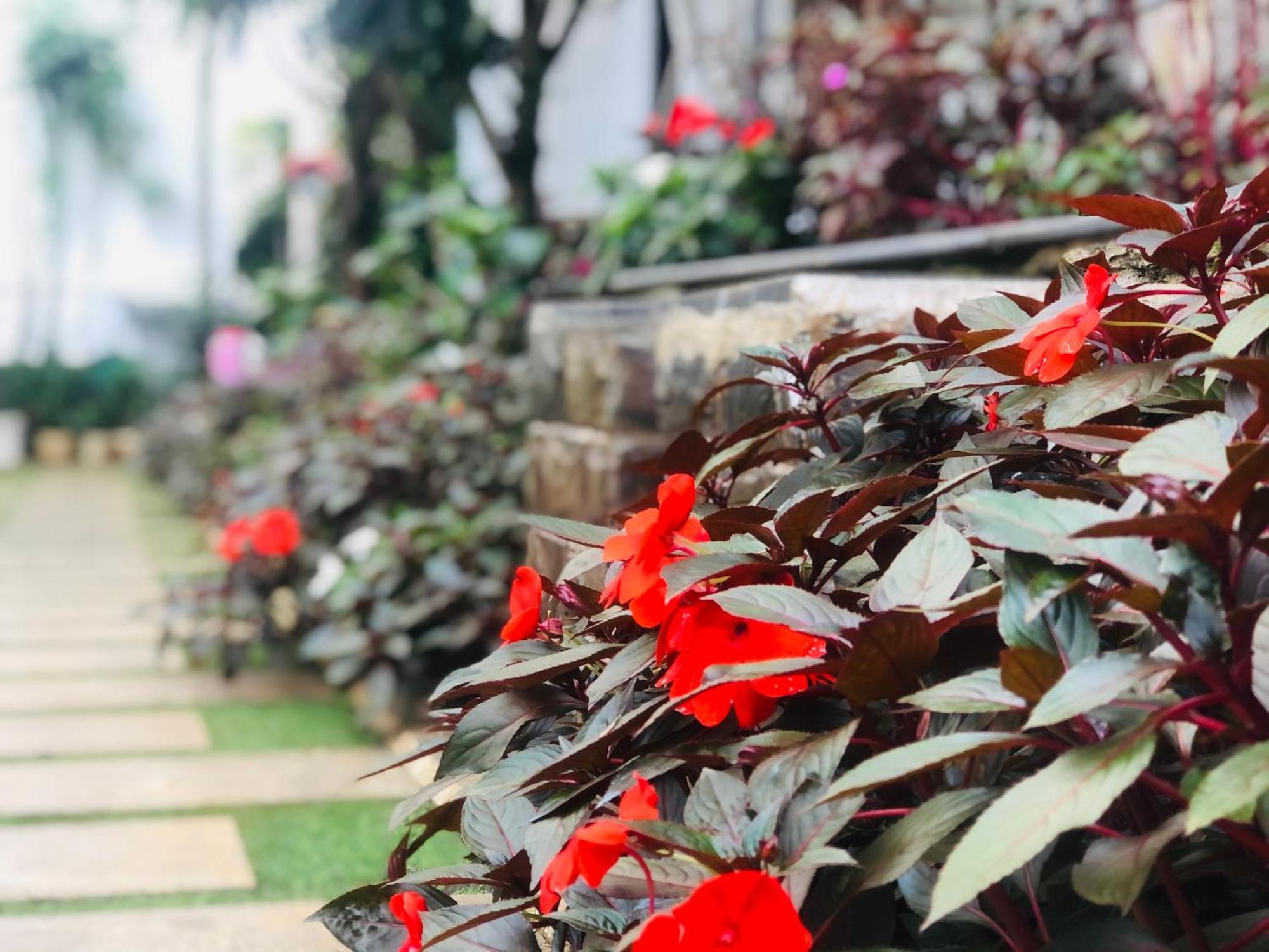 Hotel Hoa NáNg Bảo Lộc Exterior foto
