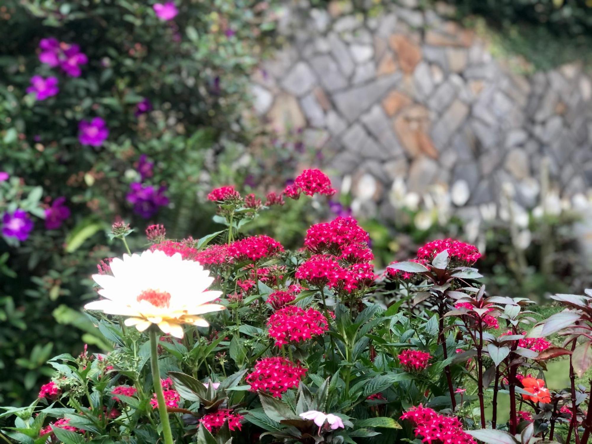 Hotel Hoa NáNg Bảo Lộc Exterior foto